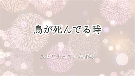 死鳥風水|鳥が死んでる時のスピリチュアルな意味とサイン｜ス 